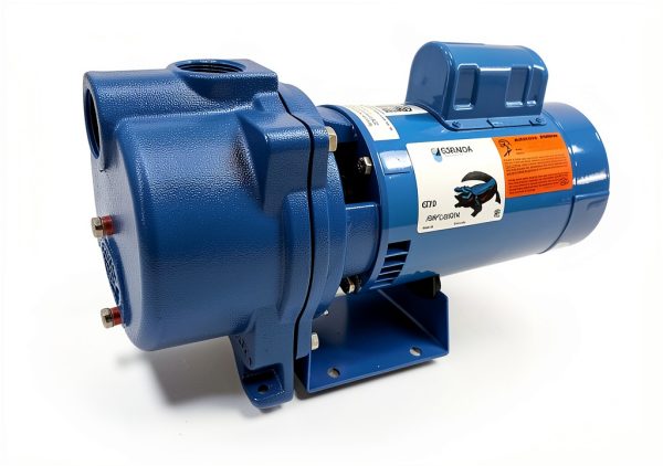 Goulds Pumps GT20 Centrifugal Pump 2 HP Motor 230 Volt-1