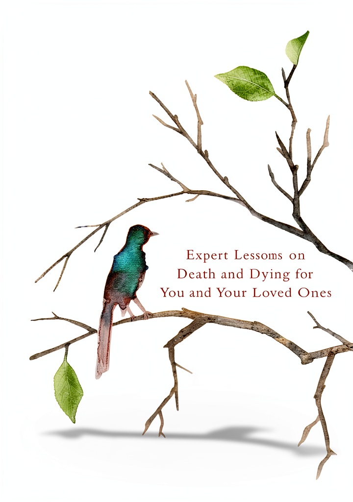 Cover of Johns Hopkins Geriatrics and Public Health Book