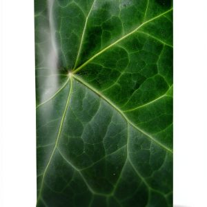 Kindle eBook Geriatrics Religion Spirituality English-0