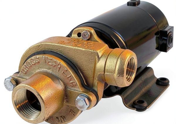 Groco Bronze Centrifugal Pump Cast Iron Stainless Steel-0