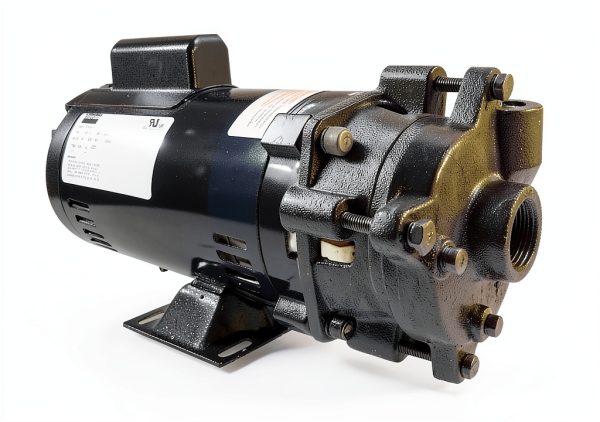 Dayton Centrifugal Pump 1 HP 120240VAC High Flow-0